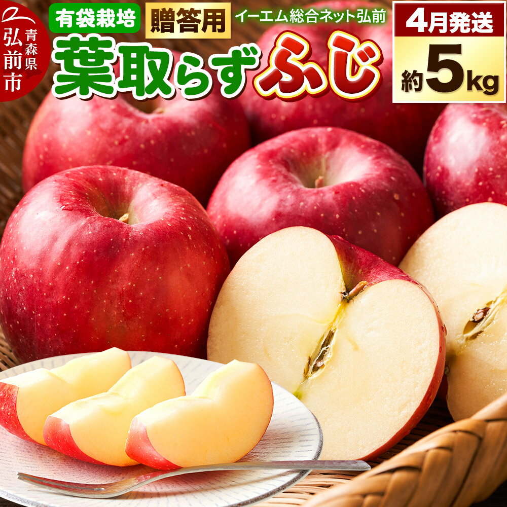 【26年4月クール便発送】りんご 贈答用 葉取らず ふじ 約5kg（有袋栽培・CA貯蔵）EMりんご