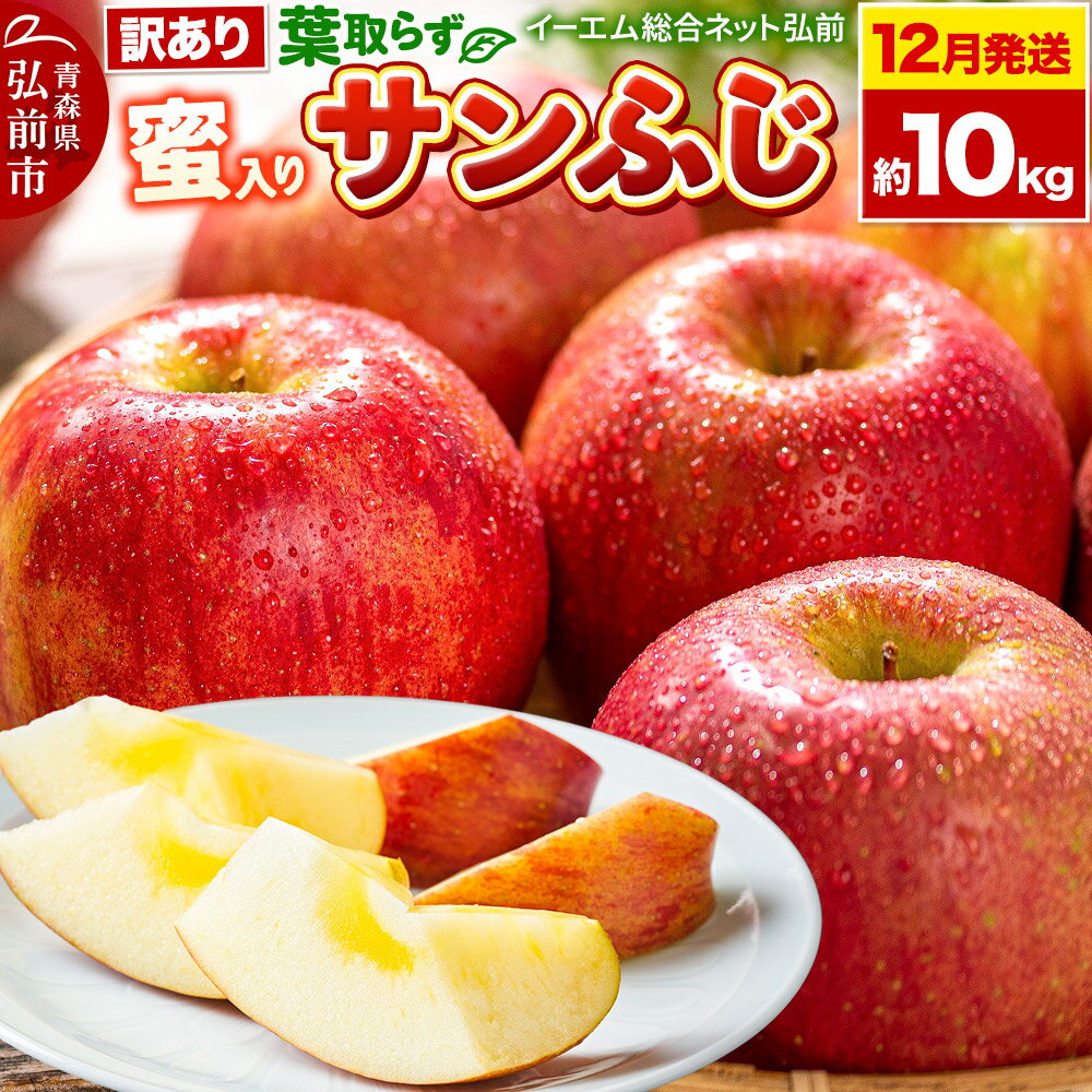 【レビューキャンペーン】【25年12月発送】りんご【訳あり】葉取らず サンふじ 約10kg 糖度 13度以上【蜜入り】EMりんご