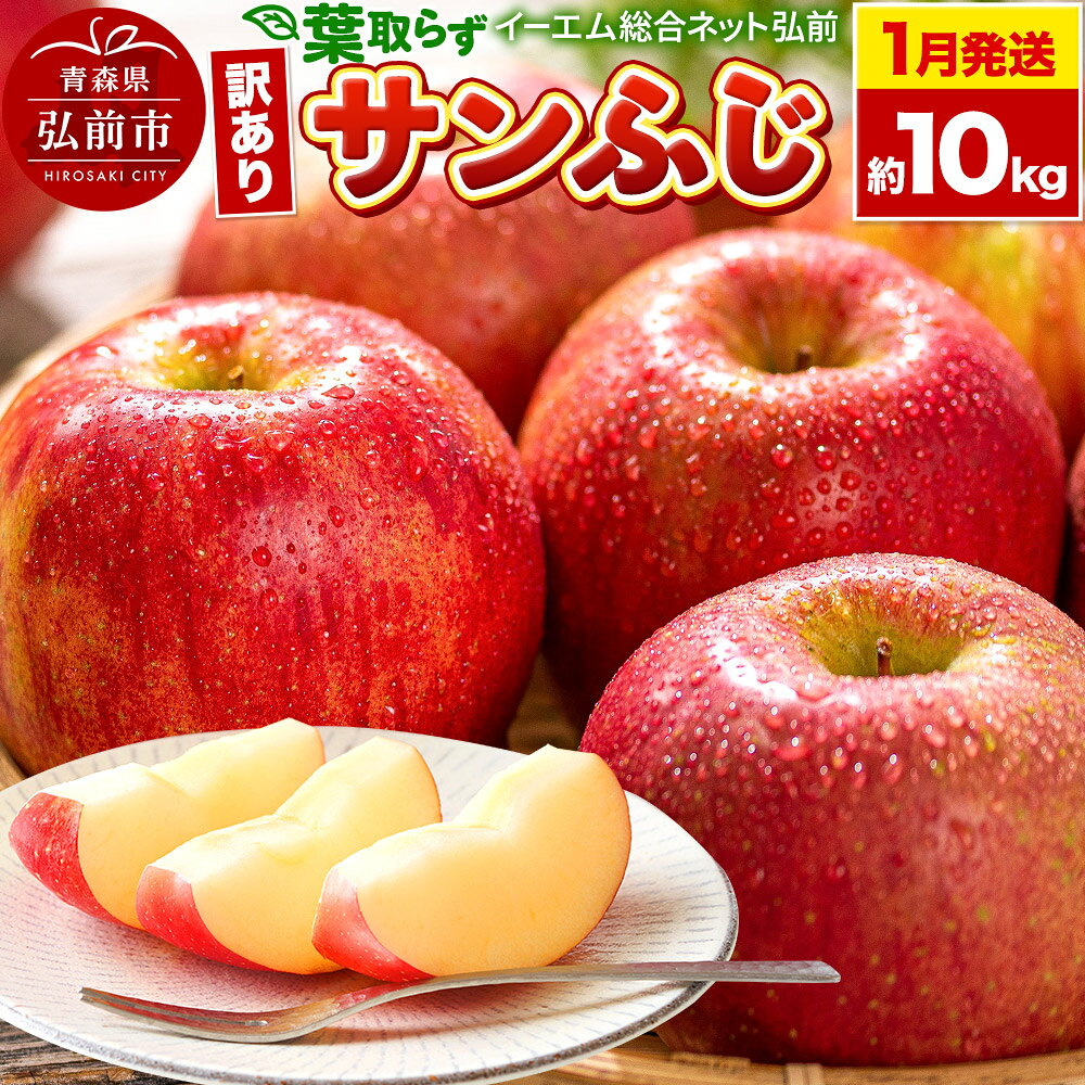 【レビューキャンペーン】【26年1月発送】りんご【訳あり】葉取らず サンふじ 約10kg 糖度 13度以上 EMりんご