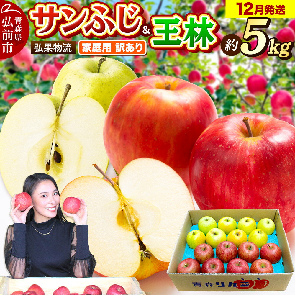 【25年12月発送】りんご 家庭用 訳あり サンふじ・王林 詰め合わせ 約5kg