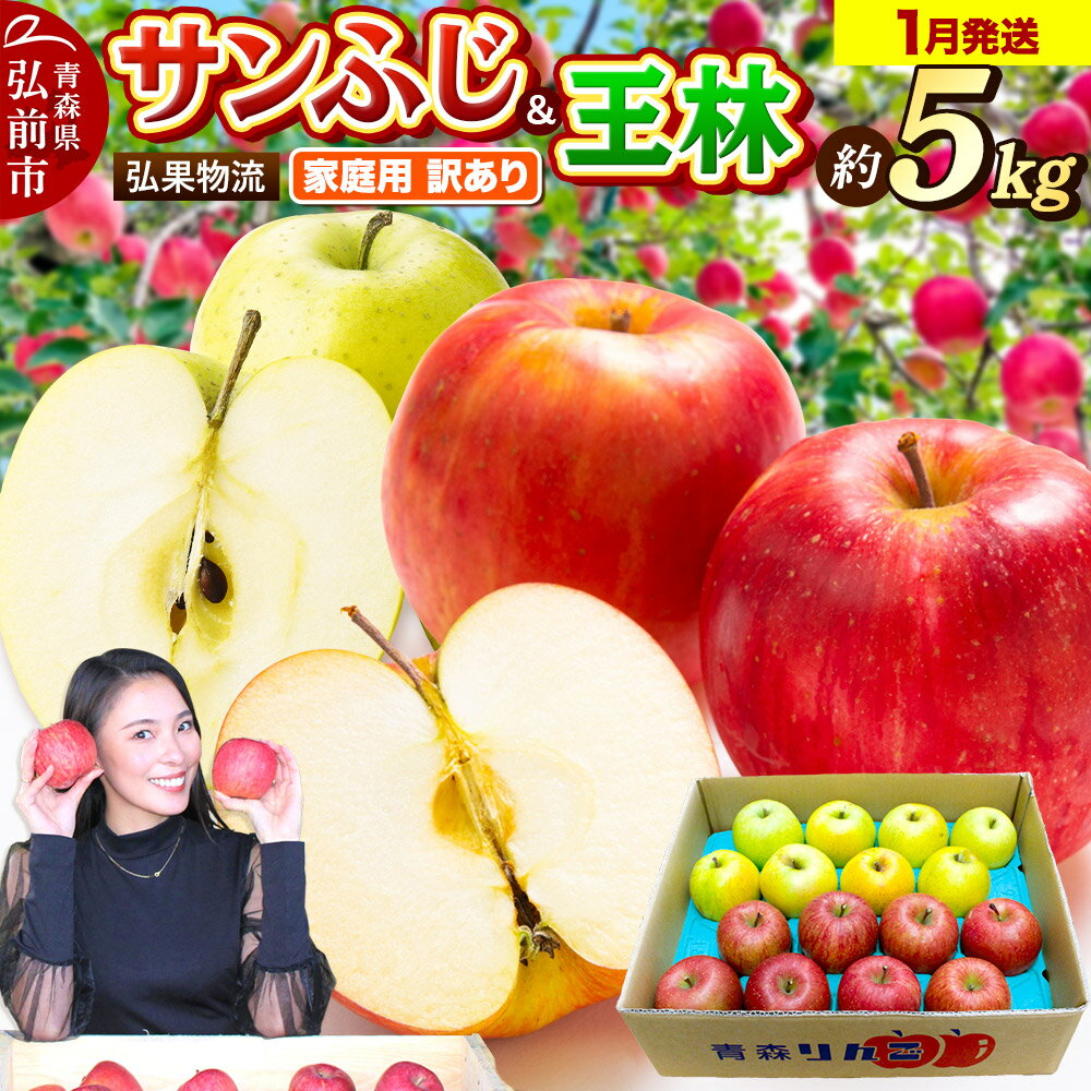 【26年1月発送】りんご 家庭用 訳あり サンふじ・王林 詰め合わせ 約5kg