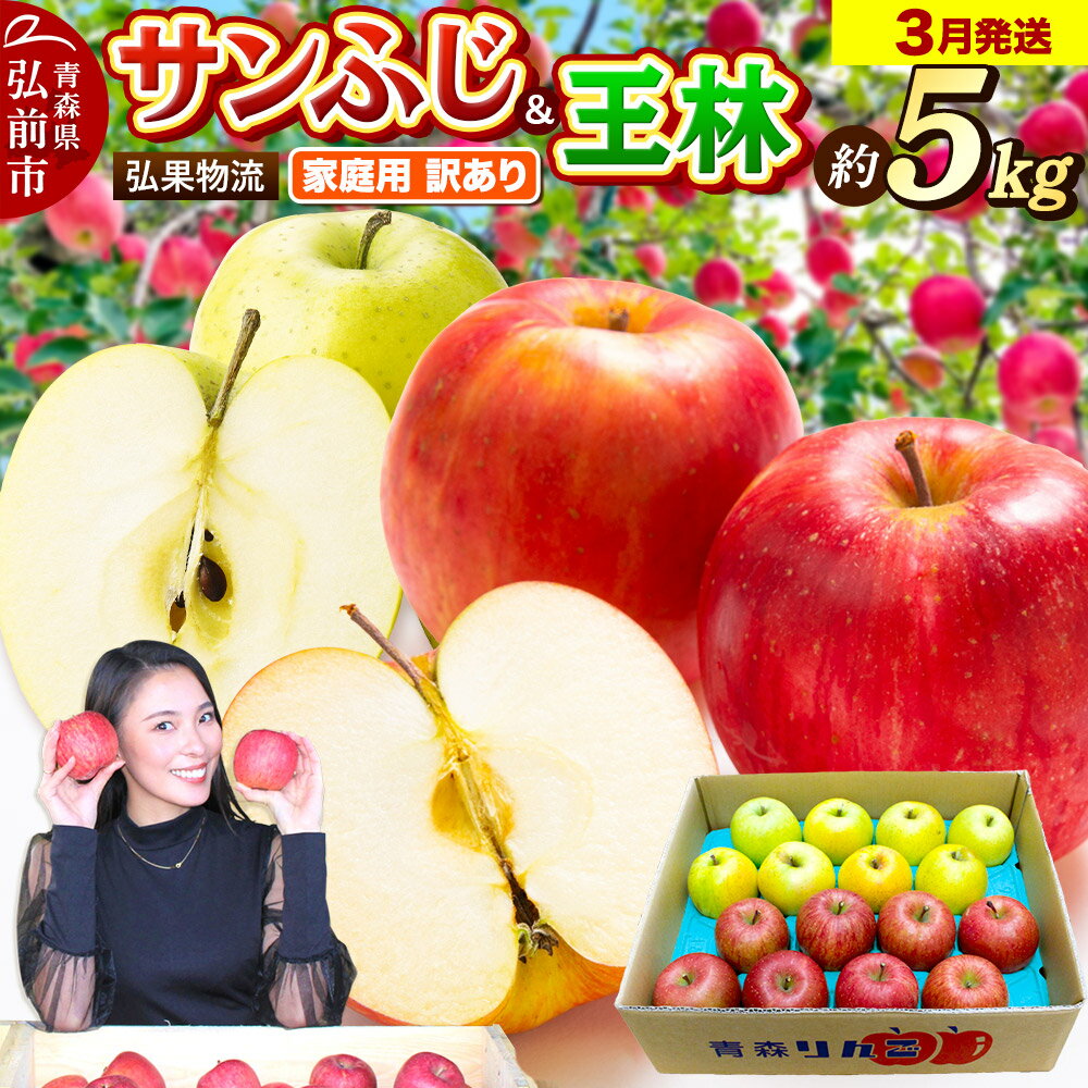 【26年3月発送】りんご 家庭用 訳あり サンふじ・王林 詰め合わせ 約5kg