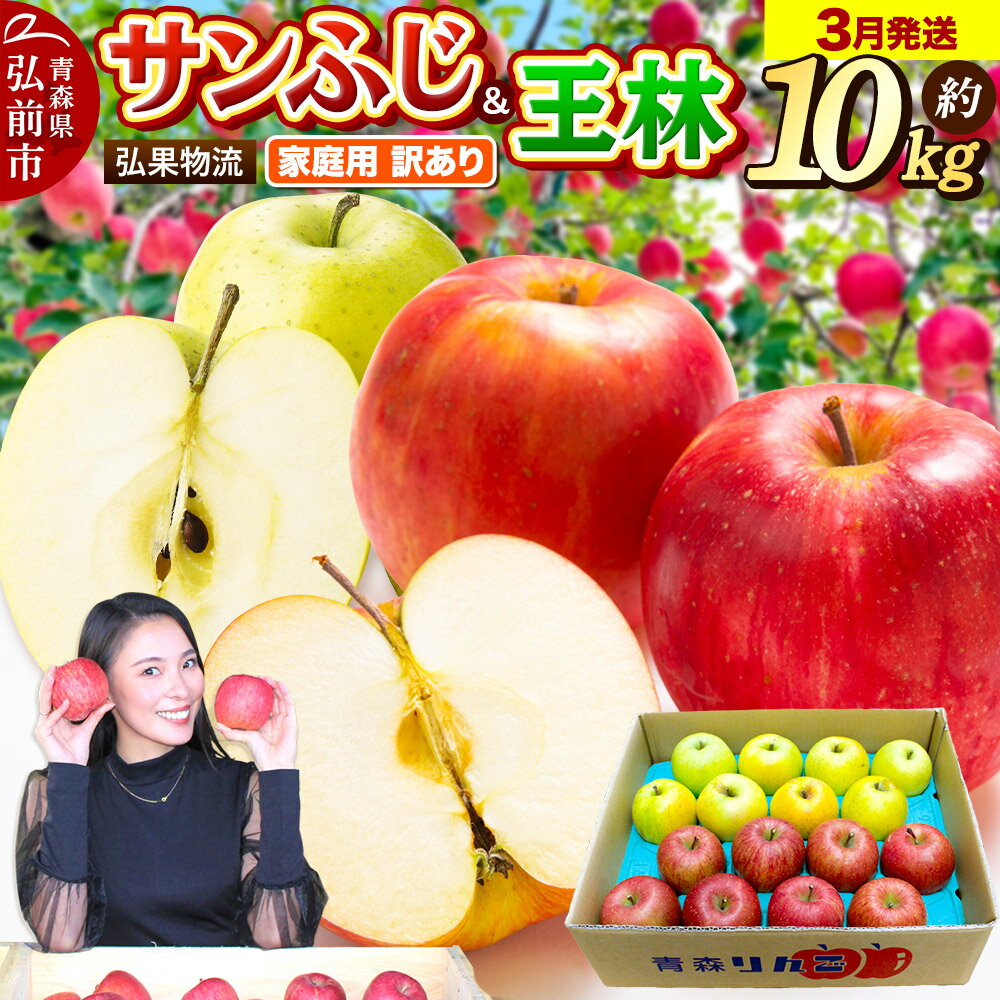 【26年3月発送】りんご 家庭用 訳あり サンふじ・王林 詰め合わせ 約10kg