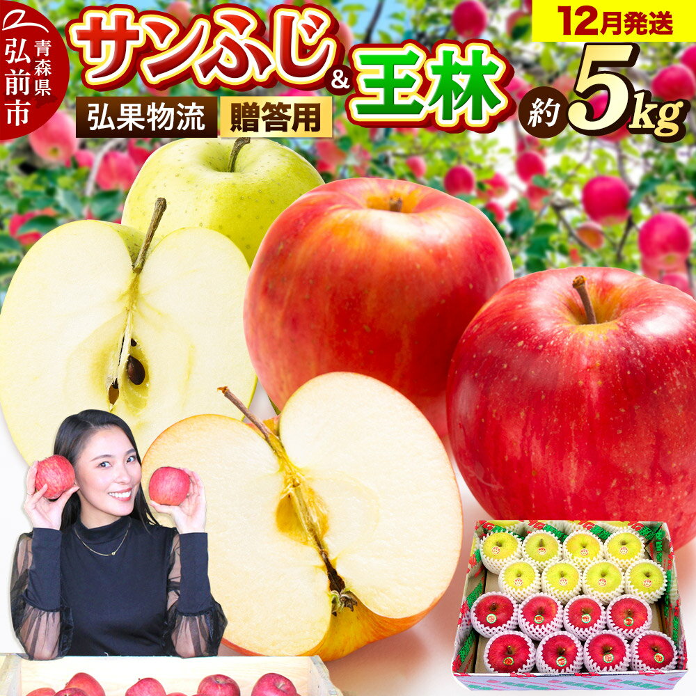 【25年12月発送】りんご 贈答用 サンふじ・王林 詰め合わせ 約5kg