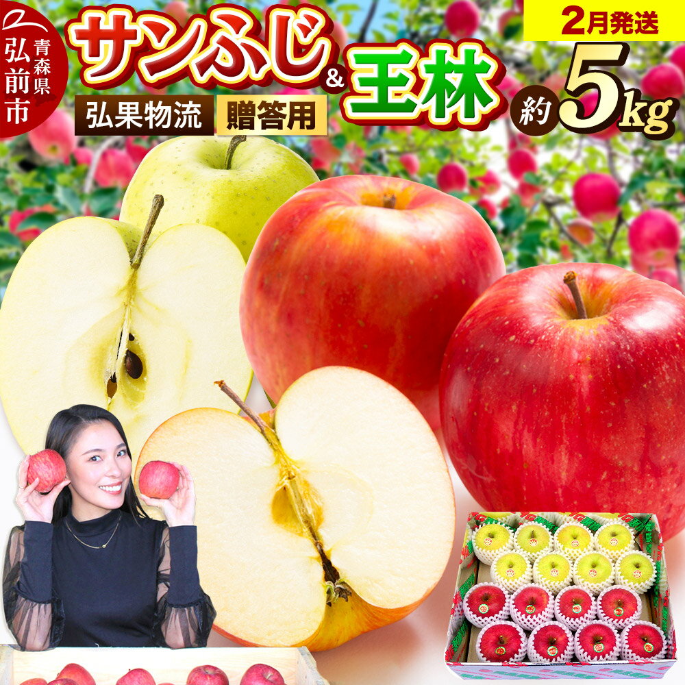 【26年2月発送】りんご 贈答用 サンふじ・王林 詰め合わせ 約5kg