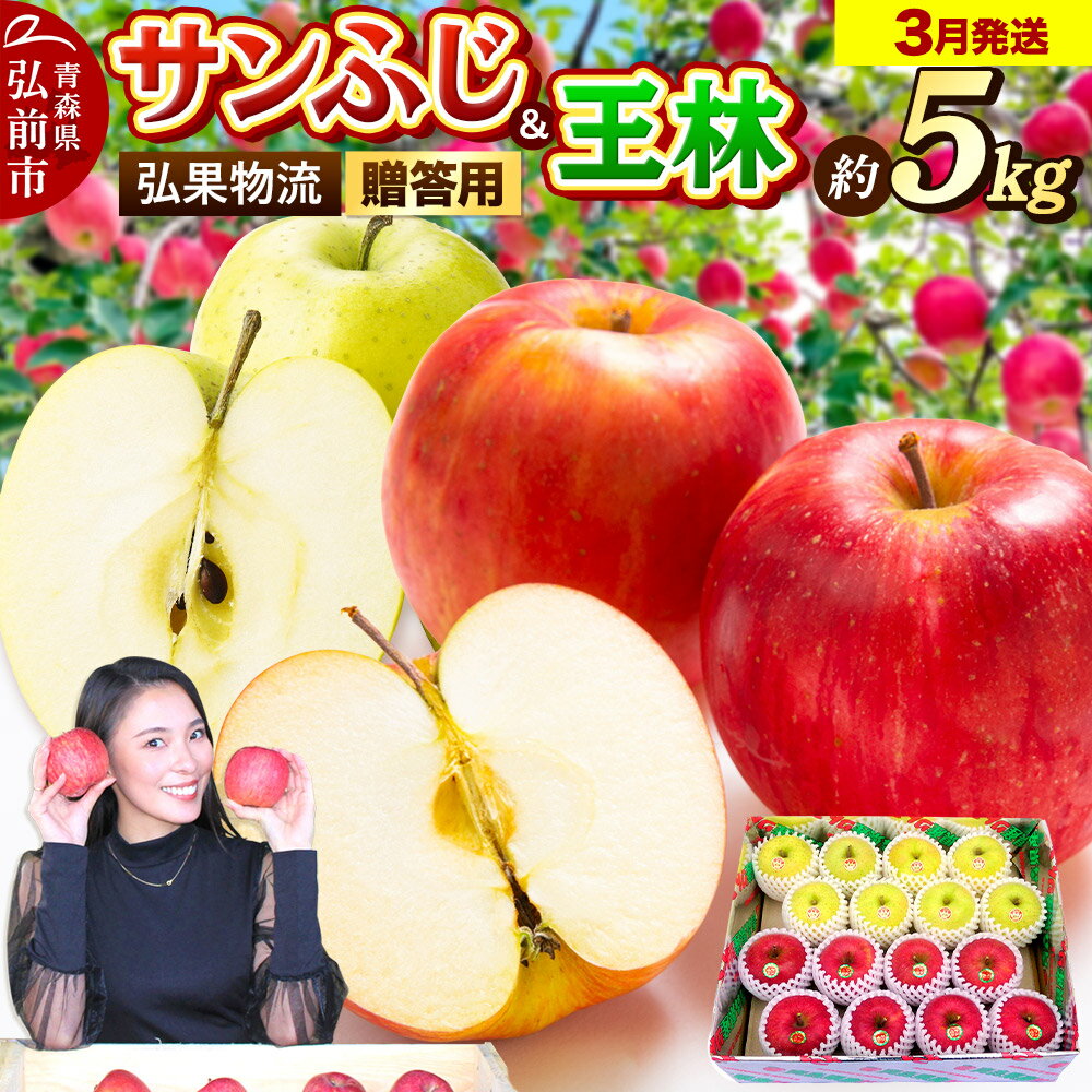 【26年3月発送】りんご 贈答用 サンふじ・王林 詰め合わせ 約5kg