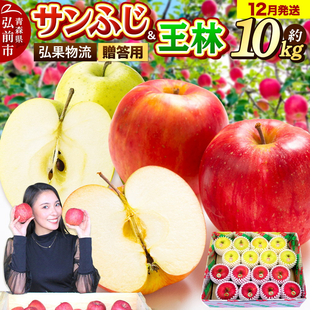 【25年12月発送】りんご 贈答用 サンふじ・王林 詰め合わせ 約10kg