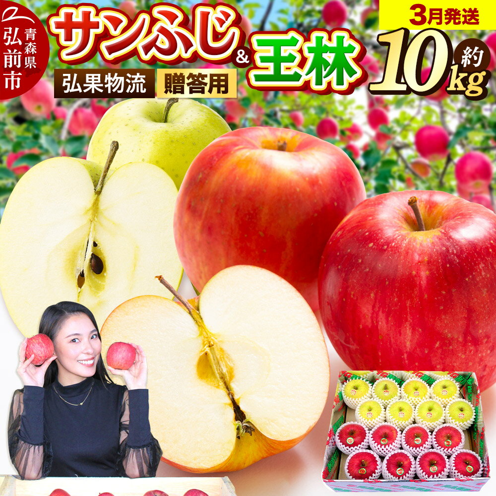 【26年3月発送】りんご 贈答用 サンふじ・王林 詰め合わせ 約10kg