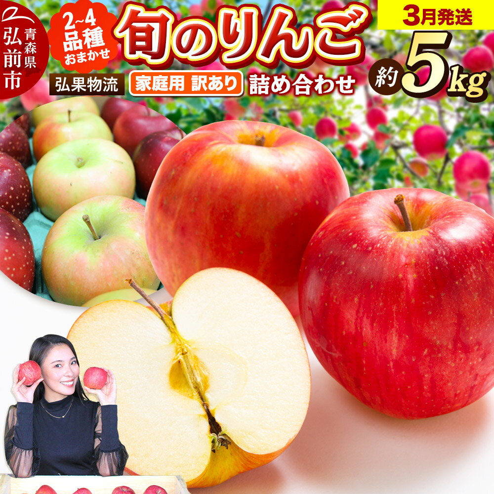 【26年3月発送】りんご 家庭用 訳あり 旬のりんご 品種おまかせ 約5kg 2品種〜4品種