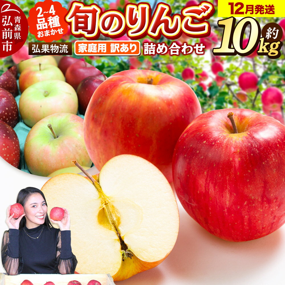 【25年12月発送】りんご 家庭用 訳あり 旬のりんご 品種おまかせ 約10kg 2品種〜4品種