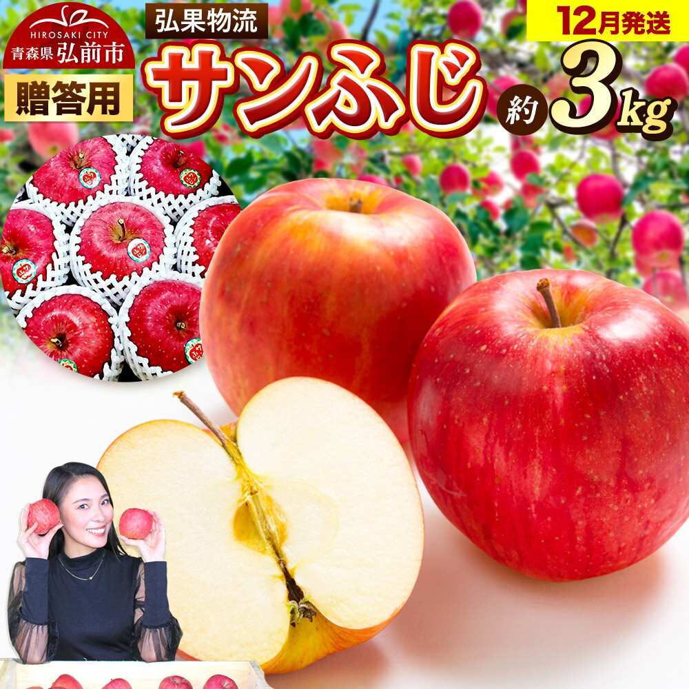 【25年12月発送】りんご 贈答用 サンふじ 約3kg