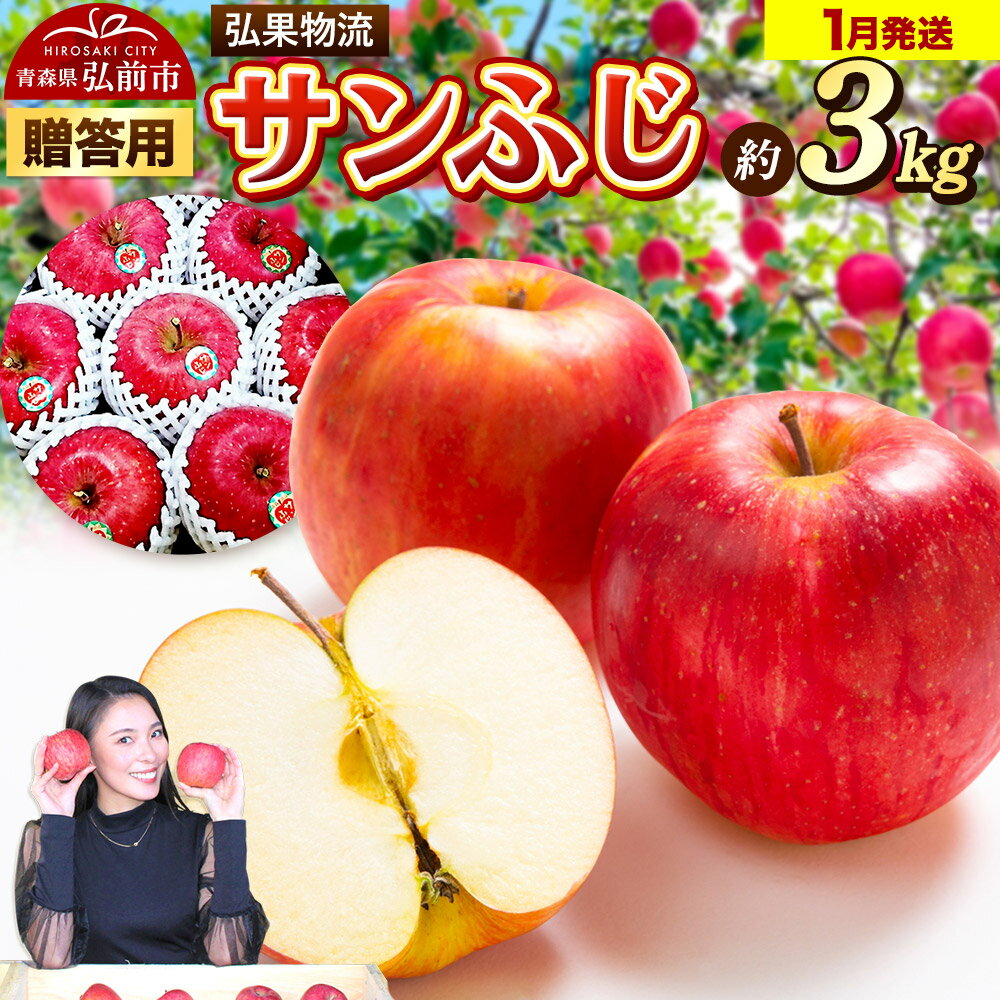 【26年1月発送】りんご 贈答用 サンふじ 約3kg