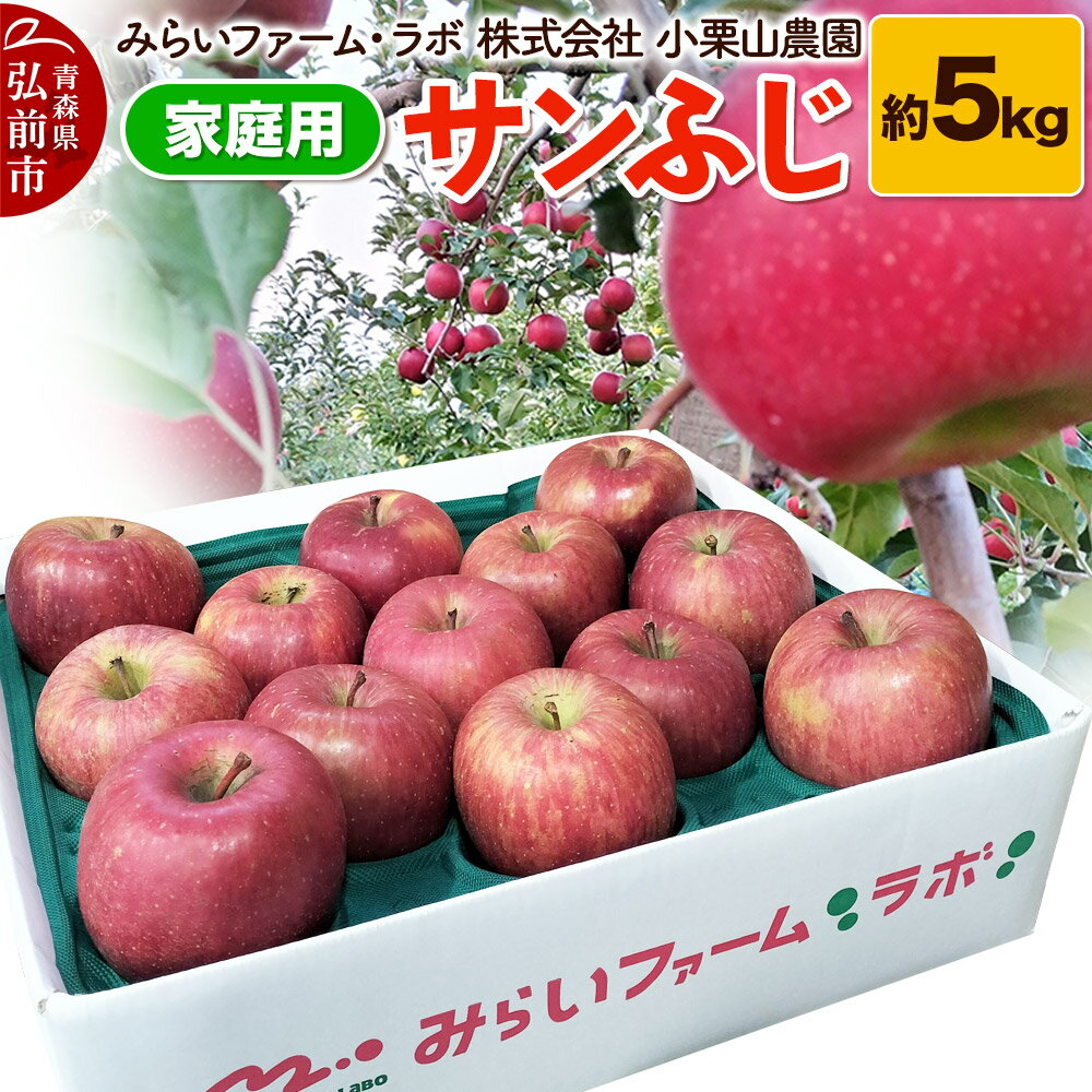 【25年12月発送】りんご【家庭用】サンふじ 約5kg
