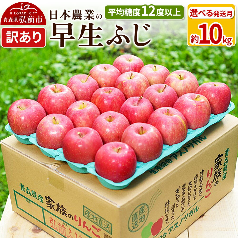 【レビューキャンペーン】りんご 【先行受付】平均糖度12度以上！ 早生ふじ 約10kg 訳あり【選べる発送月】青森 果物 フルーツ 林檎 リンゴ くだもの 不揃い 規格外 予約