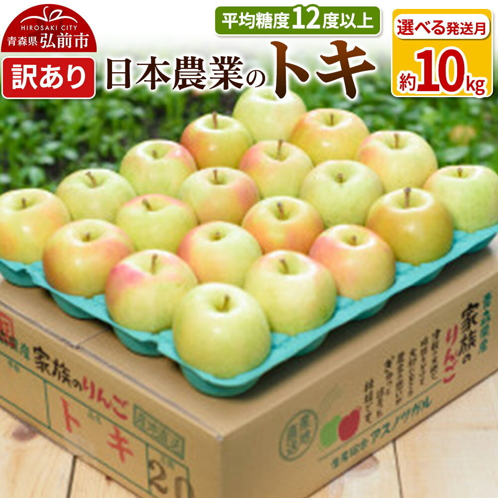 りんご 【先行受付】平均糖度12度以上！ トキ 約10kg 訳あり【選べる発送月】青森 果物 フルーツ 林檎 リンゴ くだもの 不揃い 規格外 予約