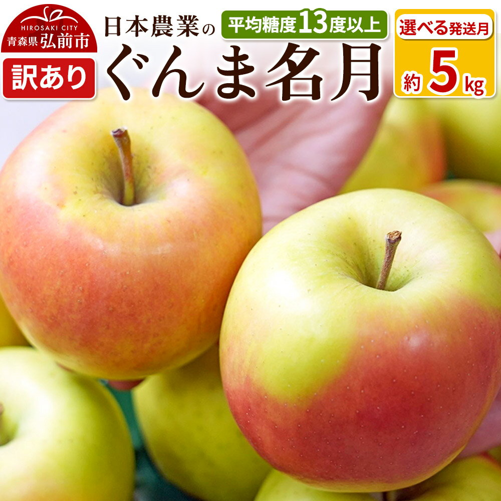 りんご 平均糖度13度以上！ ぐんま名月 約5kg 訳あり【選べる発送月】青森 果物 フルーツ 林檎 リンゴ くだもの 不揃い 規格外