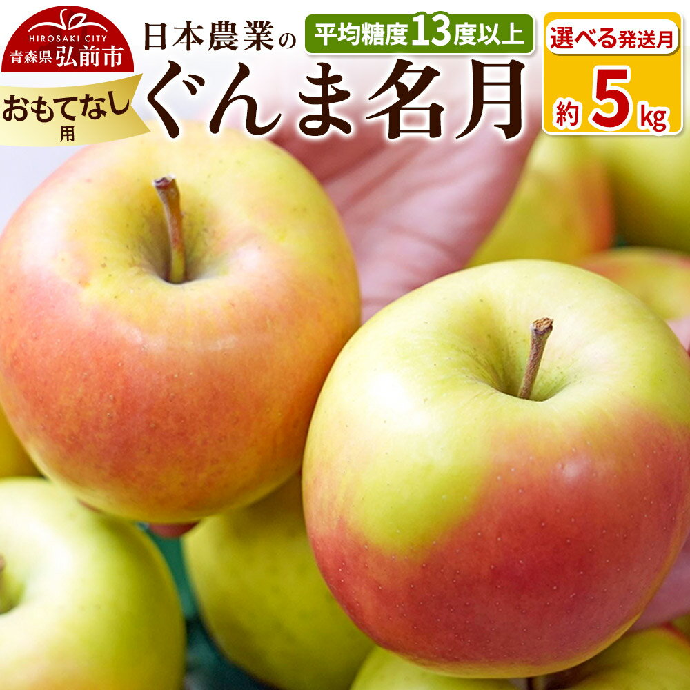 りんご 平均糖度13度以上！ ぐんま名月 約5kg おもてなし用【選べる発送月】青森 果物 フルーツ 林檎 リンゴ くだもの