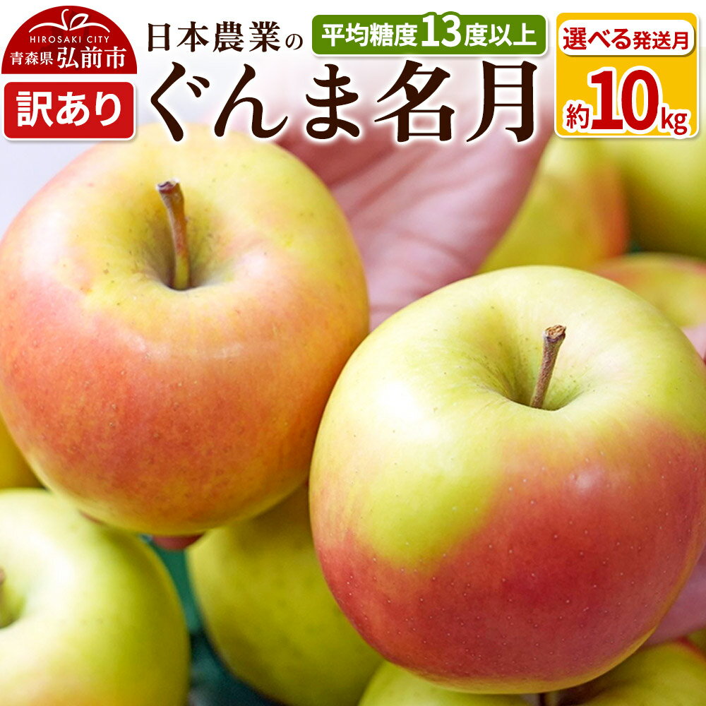 りんご 【先行受付】平均糖度13度以上！ ぐんま名月 約10kg 訳あり【選べる発送月】青森 果物 フルーツ 林檎 リンゴ くだもの 不揃い 規格外 予約