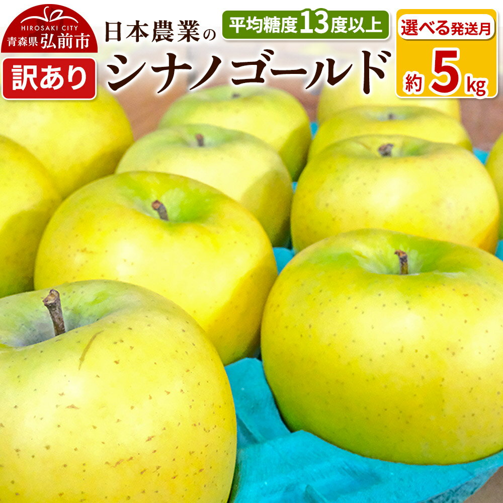 りんご 平均糖度13度以上！ シナノゴールド 約5kg 訳あり【選べる発送月】青森 果物 フルーツ 林檎 リンゴ くだもの 不揃い 規格外