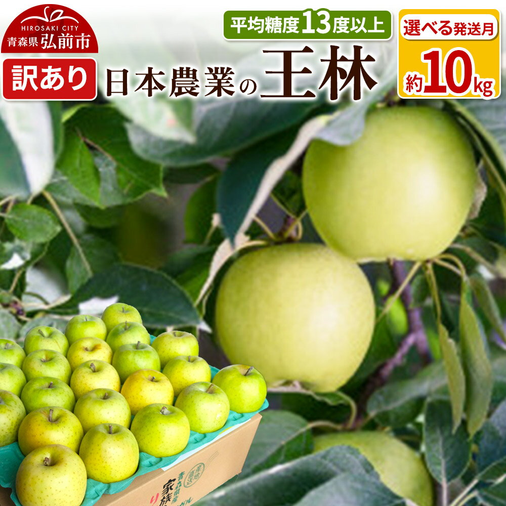 りんご 平均糖度13度以上！ 王林 約10kg 訳あり【選べる発送月】青森 果物 フルーツ 林檎 リンゴ くだもの 不揃い 規格外
