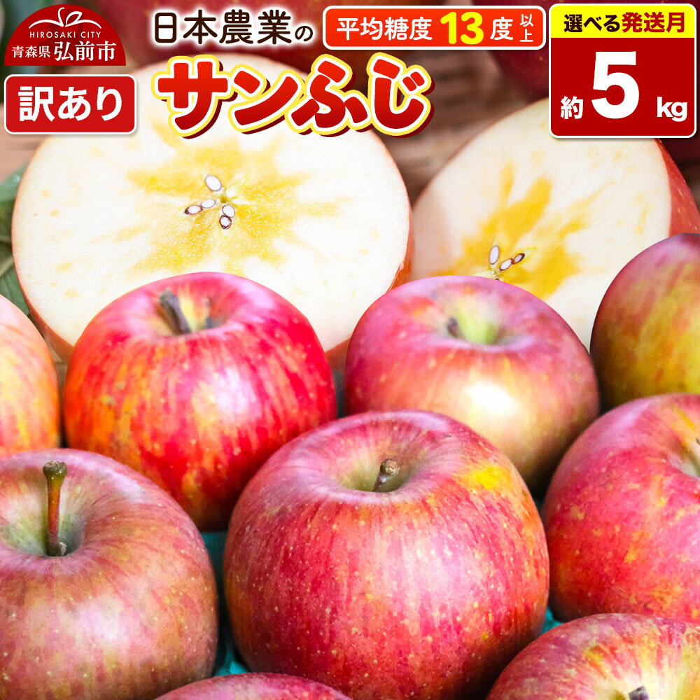 りんご 平均糖度13度以上！ サンふじ 約5kg 訳あり【選べる発送月】青森 果物 フルーツ 林檎 リンゴ くだもの 不揃い 規格外