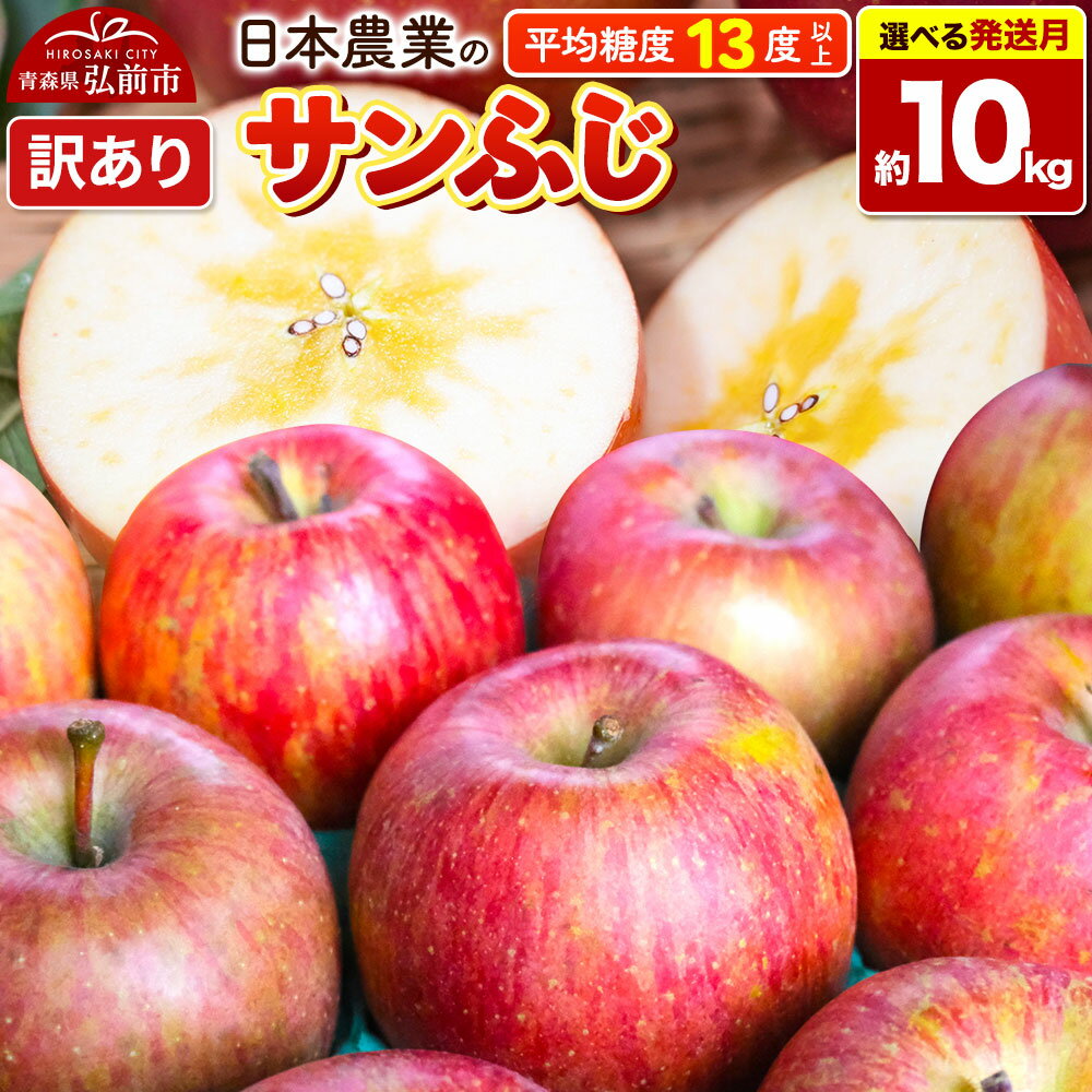 りんご 平均糖度13度以上！ サンふじ 約10kg 訳あり【選べる発送月】青森 果物 フルーツ 林檎 リンゴ くだもの 不揃い 規格外