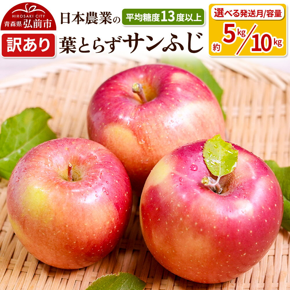 りんご 【先行受付】平均糖度13度以上！ 葉とらずサンふじ 約5kg／約10kg 訳あり【選べる容量＆発送月】青森 果物 フルーツ 林檎 リンゴ くだもの 不揃い 規格外 予約