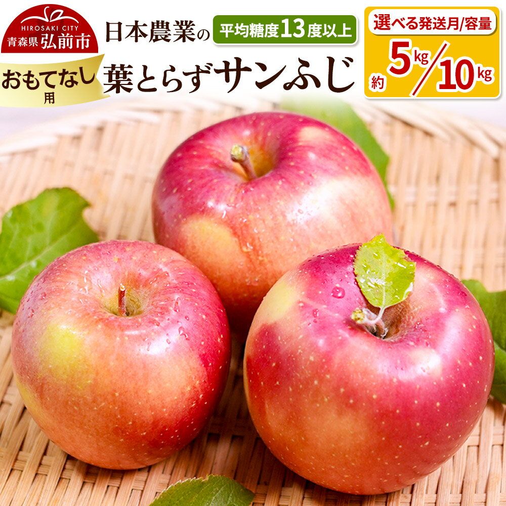 【レビューキャンペーン】りんご 【先行受付】平均糖度13度以上！ 葉とらずサンふじ 約5kg／約10kg おもてなし用【選べる容量＆発送月】青森 果物 フルーツ 林檎 リンゴ くだもの 予約