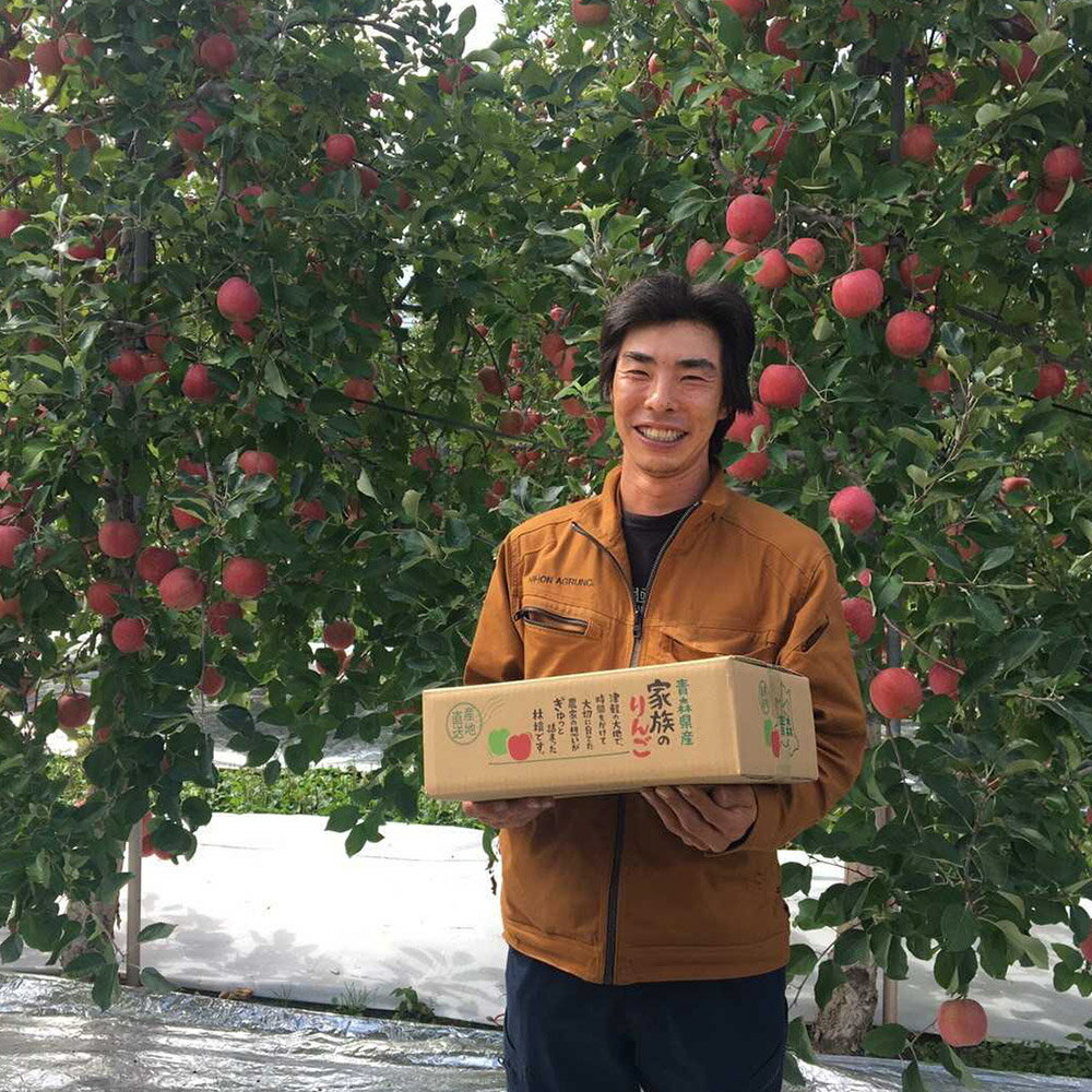 【ふるさと納税】【レビューキャンペーン】りんご 【先行受付】平均糖度12度以上！ 早生ふじ 約10kg 訳あり【選べる発送月】青森 果物 フルーツ 林檎 リンゴ くだもの 不揃い 規格外 予約 サムネイル3