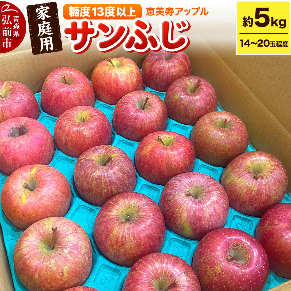 【25年12月〜発送】りんご 【糖度13度以上】サンふじ 約5kg 【家庭用】 青森県 フルーツ 果物