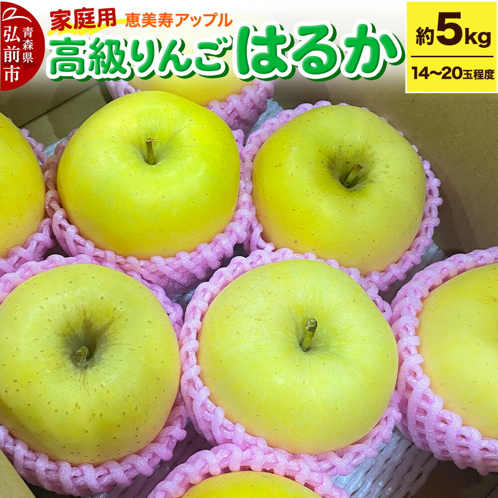 【25年12月〜発送】りんご 【高級りんご・はるか】はるか 約5kg 【家庭用】 青森県 フルーツ 果物