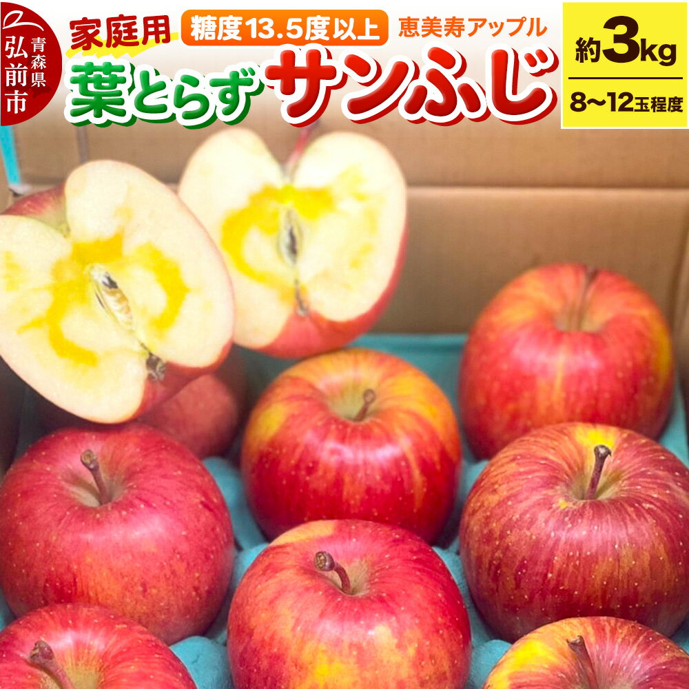 【25年12月〜発送】りんご 【糖度13.5度以上】サンふじ 約3kg 葉とらず 青森県 フルーツ 果物