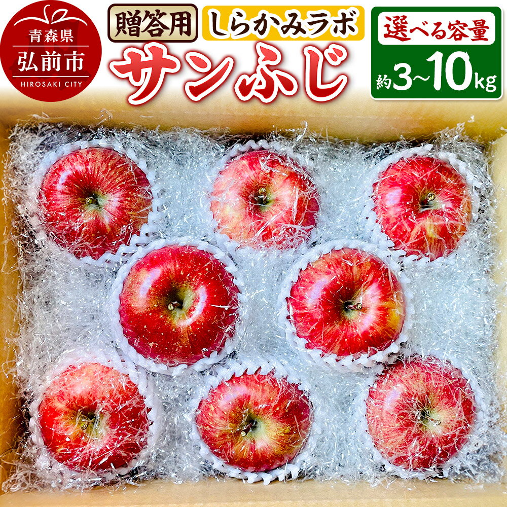 【25年12月〜発送】りんご サンふじ 贈答用【選べる容量】しらかみラボ