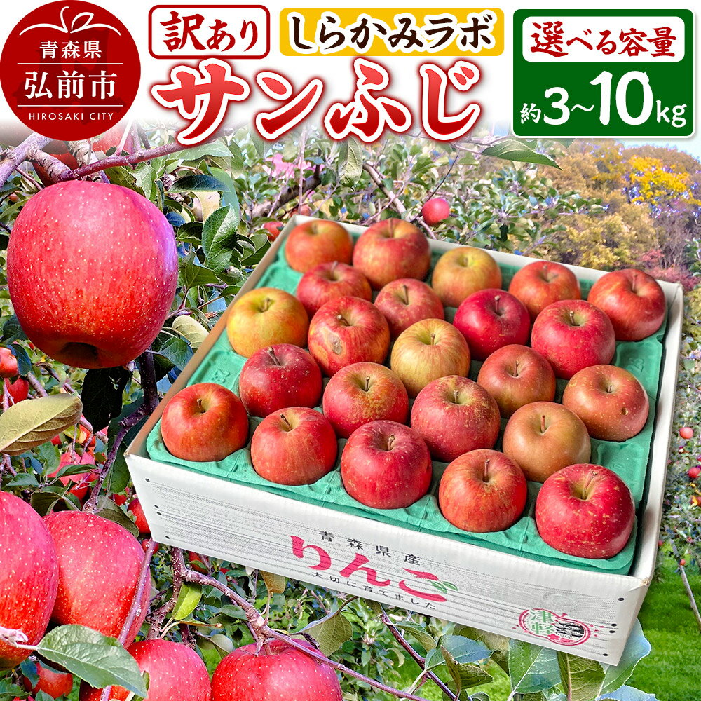 【25年12月〜発送】りんご サンふじ【訳あり】【選べる容量】しらかみラボ