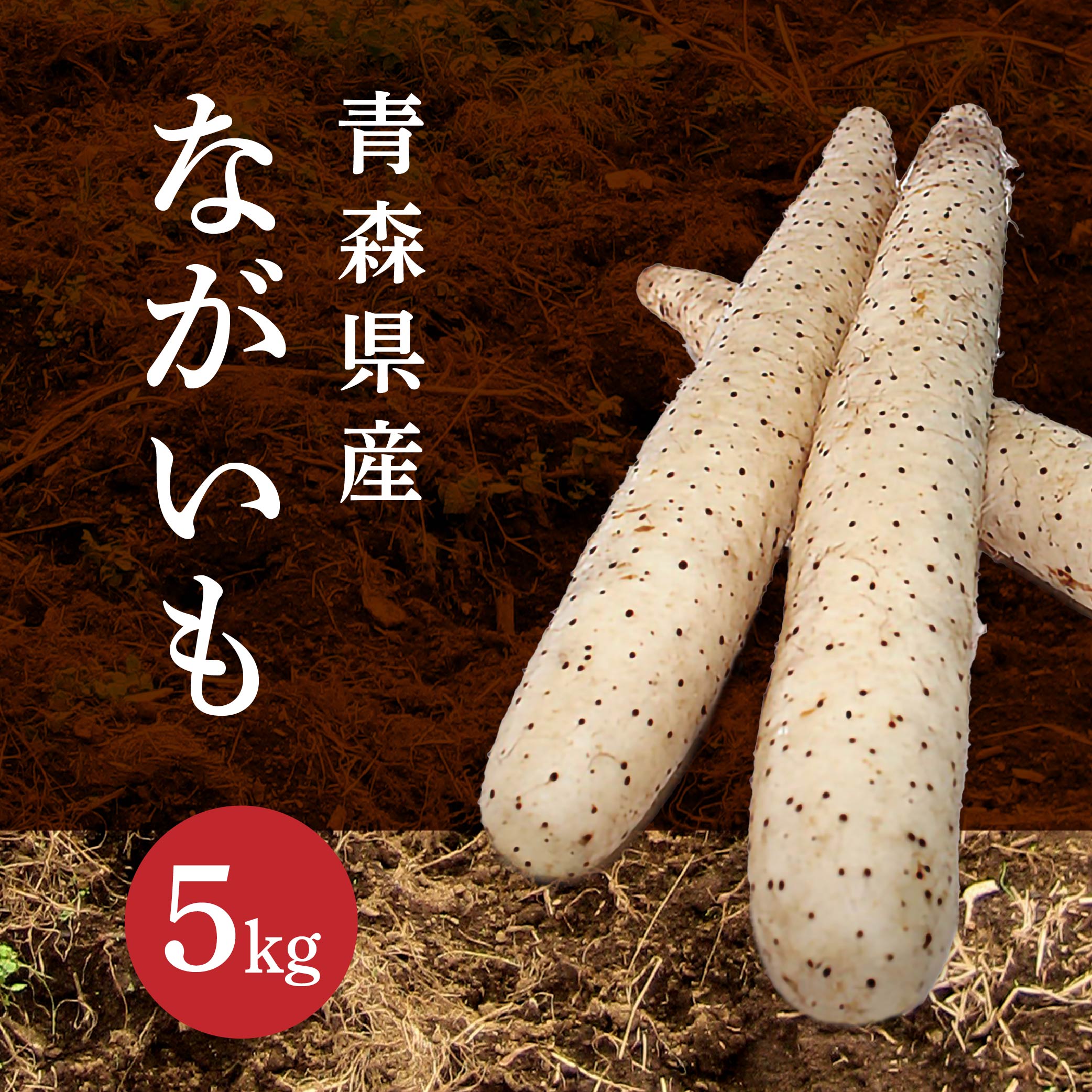 ながいも 5kg 長芋 野菜 根菜 山芋 農産物 とろろ 調理 皮がむきやすい 春 国産 青森産 送料無料