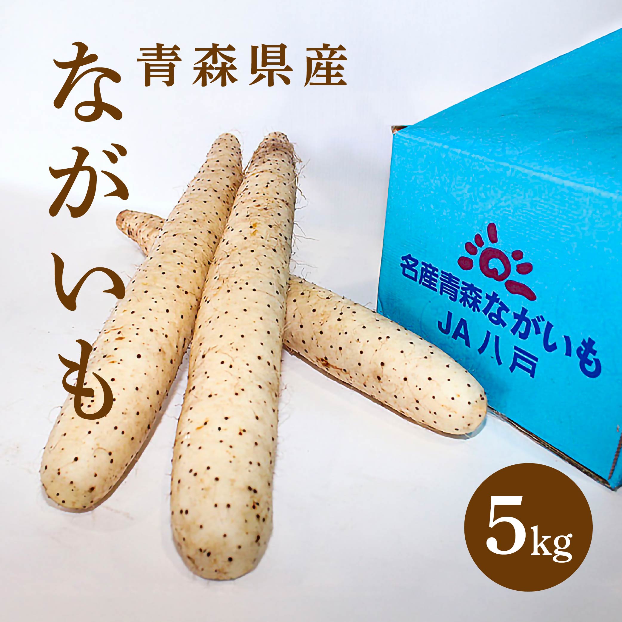 【ふるさと納税】ながいも 5kg 長芋 野菜 根菜 山芋 農産物 とろろ 調理 皮がむきやすい 春 国産 青森産 送料無料 - 画像3