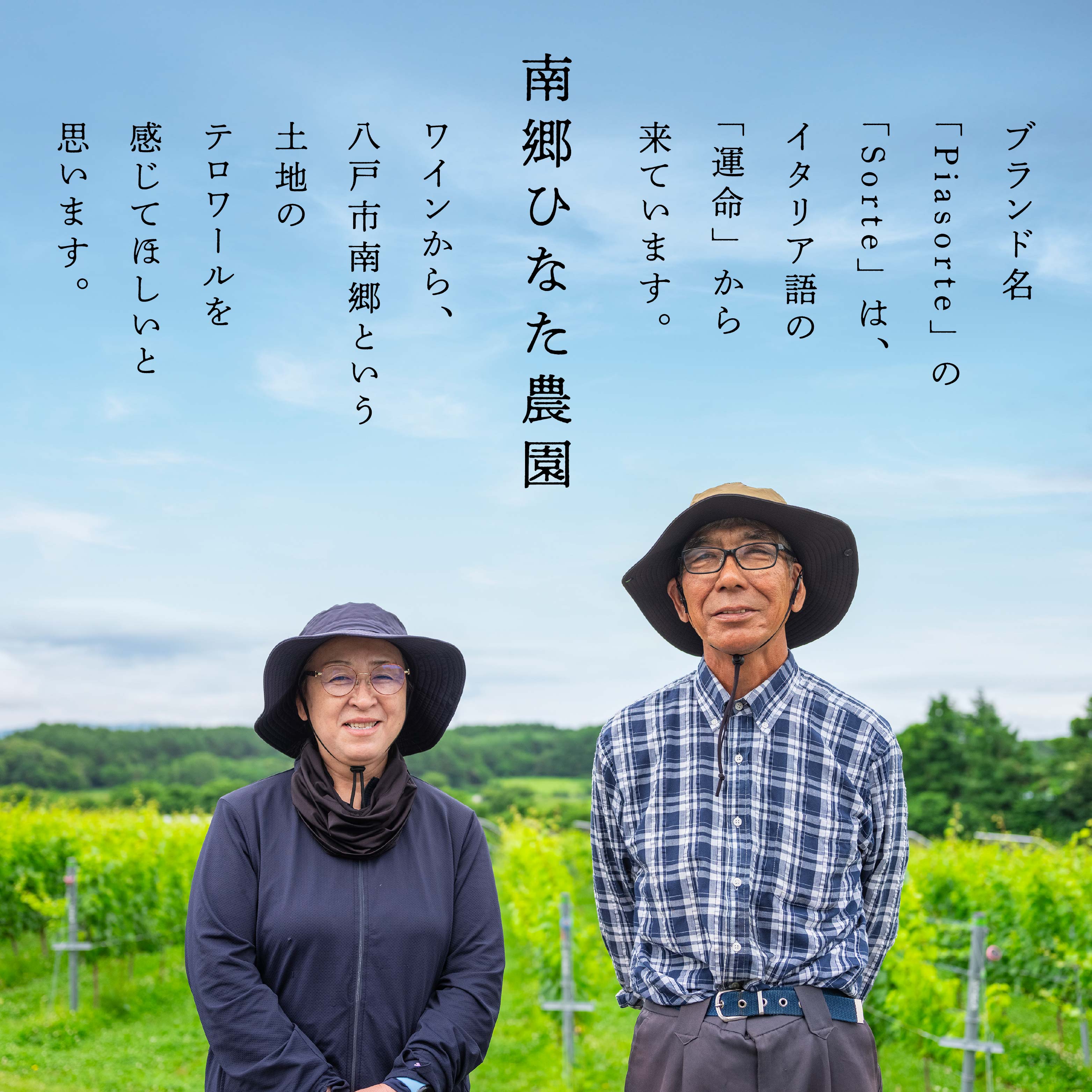 【ふるさと納税】南郷ひなた農園 日本ワイン ピアソルテ メルロー2023 750ml × 1本 青森県 八戸市 サムネイル2