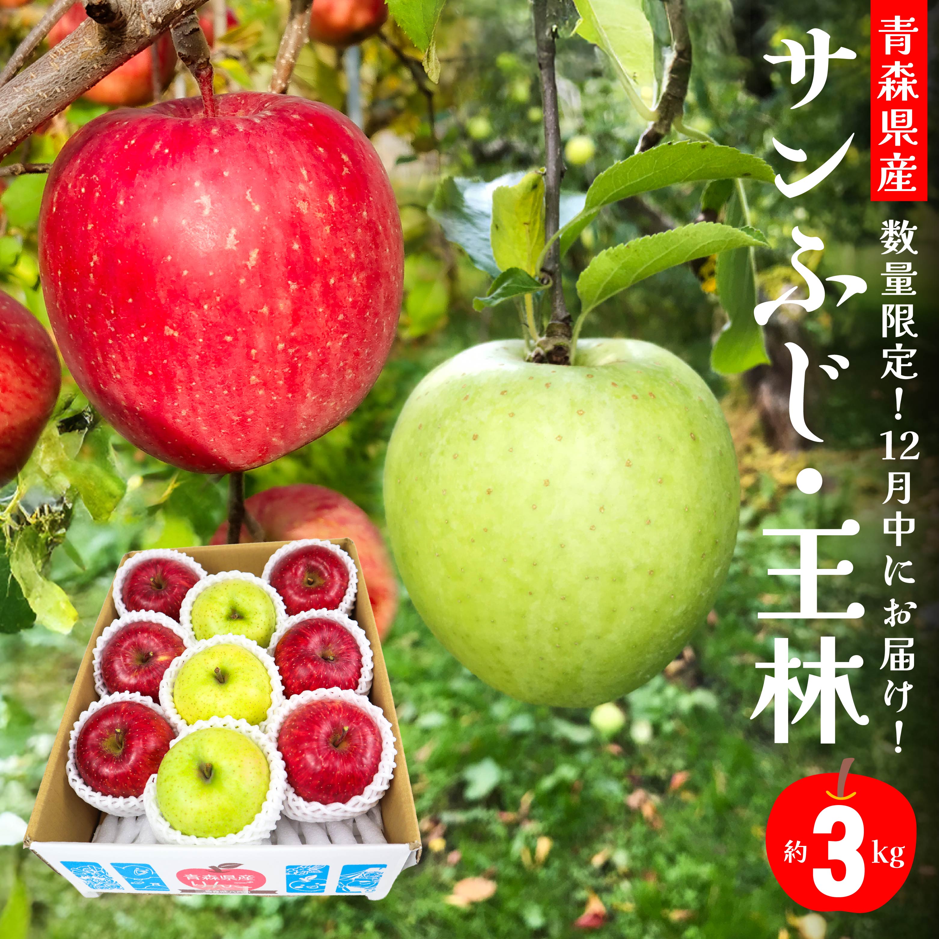 12月中にお届け！ 青森県産 サンふじ 王林 りんご 3kg おうりん 林檎 果物 フルーツ セット 詰合せ 年内配送 家庭用 贈答用 送料無料