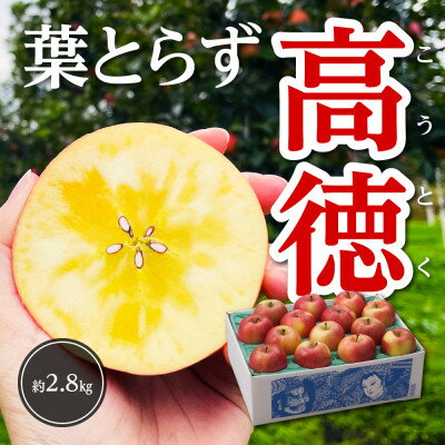 【令和7年11月上旬～発送】今年もお届け。味にこだわる生産者から「葉とらずこうとく」2.8kg【配送不可地域：離島】【1124030】