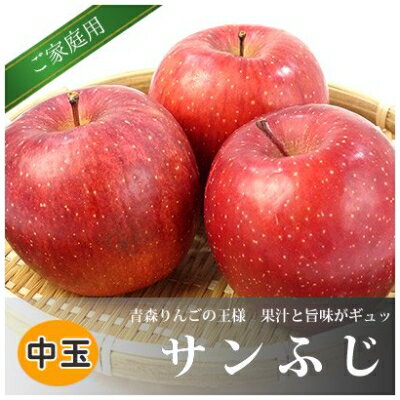 青森県黒石産サンふじ家庭用 約5kg【1247476】