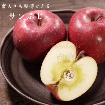 【ふるさと納税】青森県黒石産サンふじ家庭用 約5kg【1247476】 サムネイル2