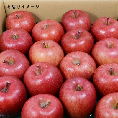 【ふるさと納税】青森県黒石産サンふじ家庭用 約5kg【1247476】 サムネイル3