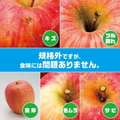 【R7年11月上旬～発送開始】内容量 約10Kg 訳ありりんご シナノスイート 24～46個入_ りんご リンゴ 林檎 シナノスイート 訳あり 家庭用 青森県産 果物 フルーツ 美味しい 人気 送料無料 【配送不可地域：離島・沖縄県】【1333054】