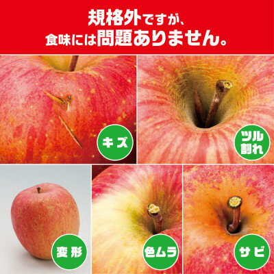 【ふるさと納税】今年も約10kgお届けします!　訳ありりんご「サンふじ」24～46個入【R7年12月中旬～発送開始】_ りんご 林檎 訳あり フルーツ 果物 くだもの 傷 規格外 青森県 10kg 人気 おすすめ 送料無料 【配送不可地域：離島・沖縄県】【1333055】 サムネイル2