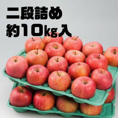【ふるさと納税】今年も約10kgお届けします!　訳ありりんご「サンふじ」24～46個入【R7年12月中旬～発送開始】_ りんご 林檎 訳あり フルーツ 果物 くだもの 傷 規格外 青森県 10kg 人気 おすすめ 送料無料 【配送不可地域：離島・沖縄県】【1333055】 サムネイル3