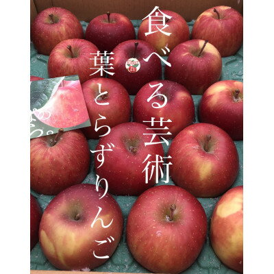 園主一押し!味をとことん突き詰めたりんご　葉とらずサンふじ　贈答用　約5kg　蜜入り期待大!【1342650】