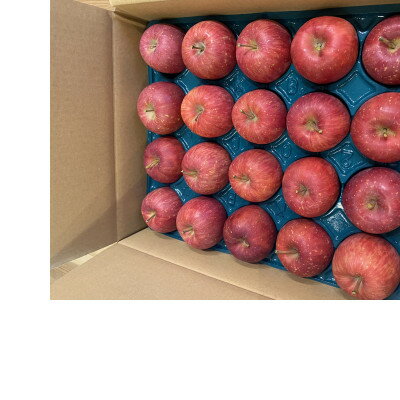 【ふるさと納税】SevenApple木村農園から直送　樹上完熟さんふじ10kg【1422346】 サムネイル2