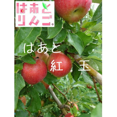 青森県産りんご　’はあと’紅玉　3K箱【1425256】