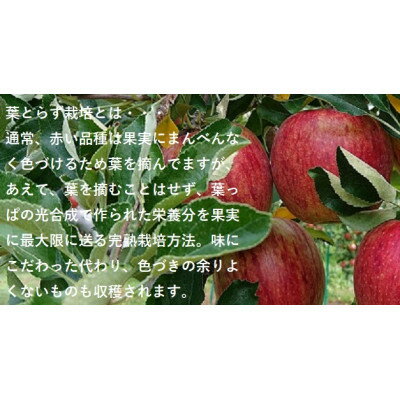 【ふるさと納税】青森県産りんご　’はあと’紅玉　3K箱【1425256】 サムネイル2