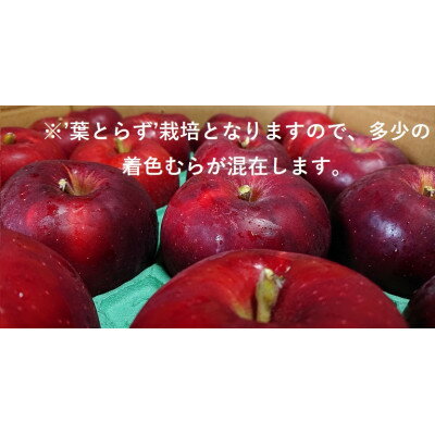 【ふるさと納税】青森県産りんご　’はあと’紅玉　3K箱【1425256】 サムネイル3